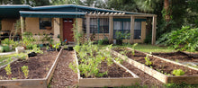 Load image into Gallery viewer, Front yard garden installation. Three, long raised beds filled with young plants in front of a ranch style beige house with a green roof and a red door.
