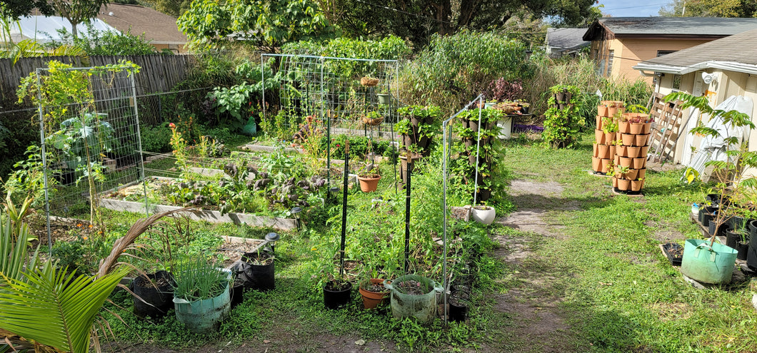 Virtual Garden / Food Forest Consultation