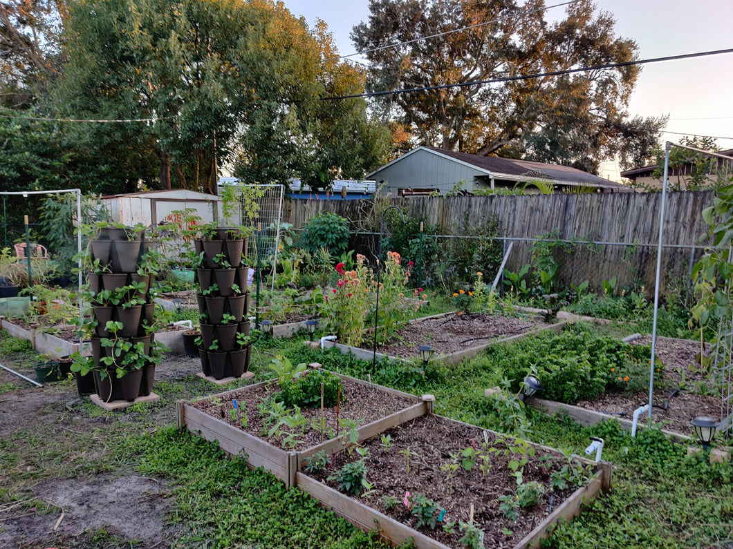 Garden / Food Forest Design - small  (less than 1/4 acre)